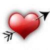 heart.jpeg heart.jpeg