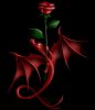 red rose dragon.JPG
