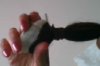 wound around.png