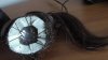 Hair critter inside.JPG