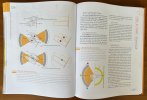 IMG_0003_dance_book.jpg