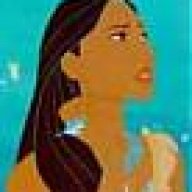 salsachinita