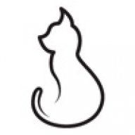 ireniecat