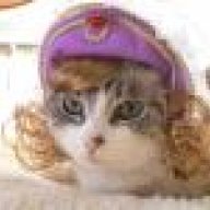Kat