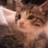 Yanou