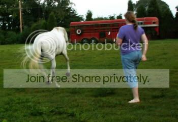 chasse.jpg