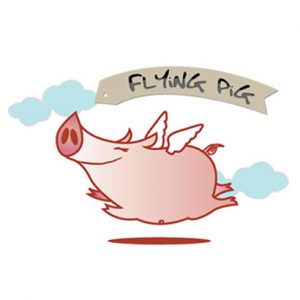 flyingpig-dd-300x300.jpg
