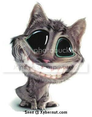 big_cat_smile.jpg